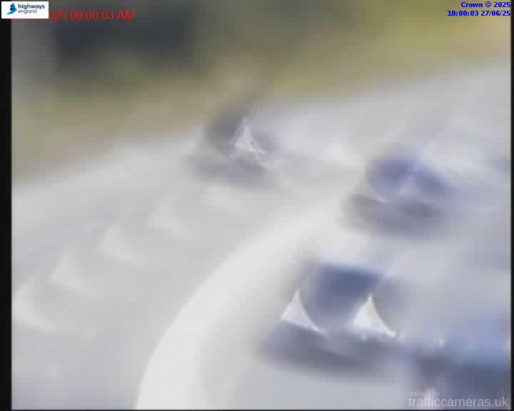 M25 SEO+50M