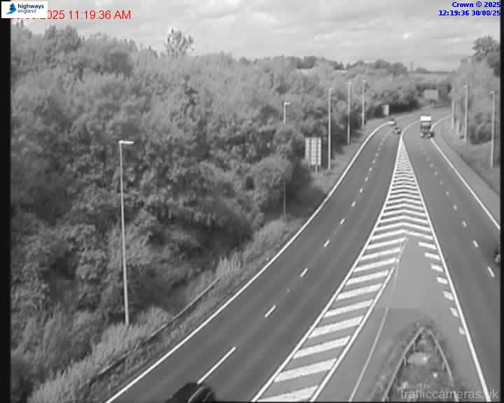 M25 SEO+50M