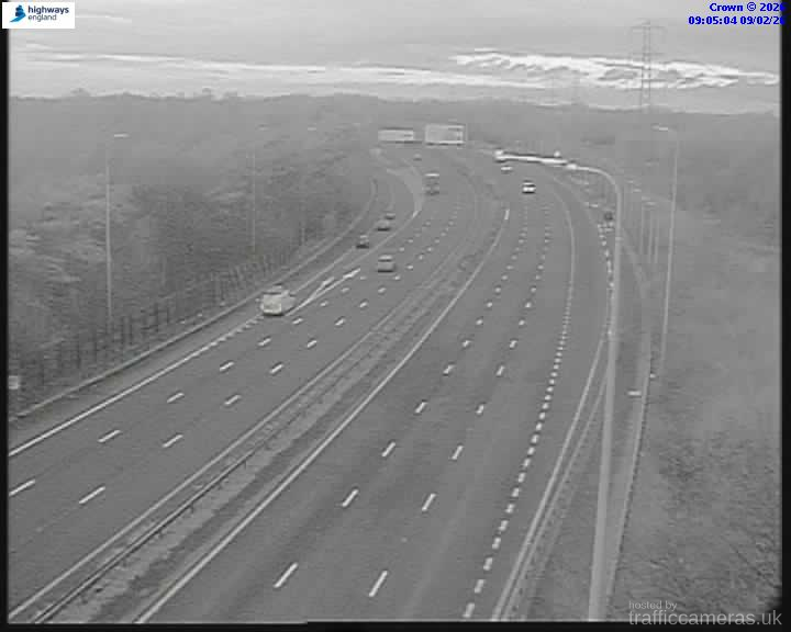 M60 56/6A J1 TRAVIS BROW